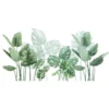 Tropical Monstera Wall Decal Set
