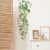 Botanical Vine Wall Decal