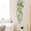 Botanical Vine Wall Decal