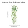 Botanical Vine Wall Decal